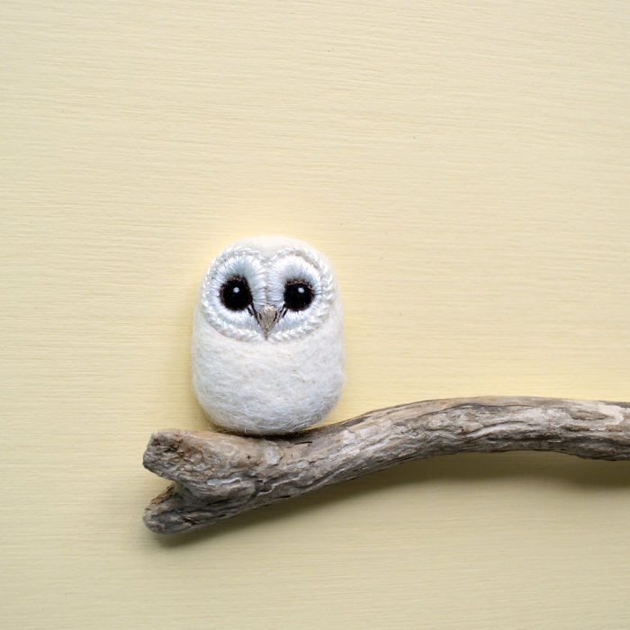 I Needle-Felt Different Species Of Birds Inspired By Nature I Needle-Felt Different Species Of Birds Inspired By Nature