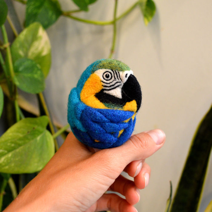 I Needle-Felt Different Species Of Birds Inspired By Nature I Needle-Felt Different Species Of Birds Inspired By Nature