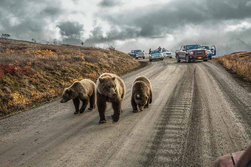 48 Of The Best Images Of The Year Announced By National Geographic