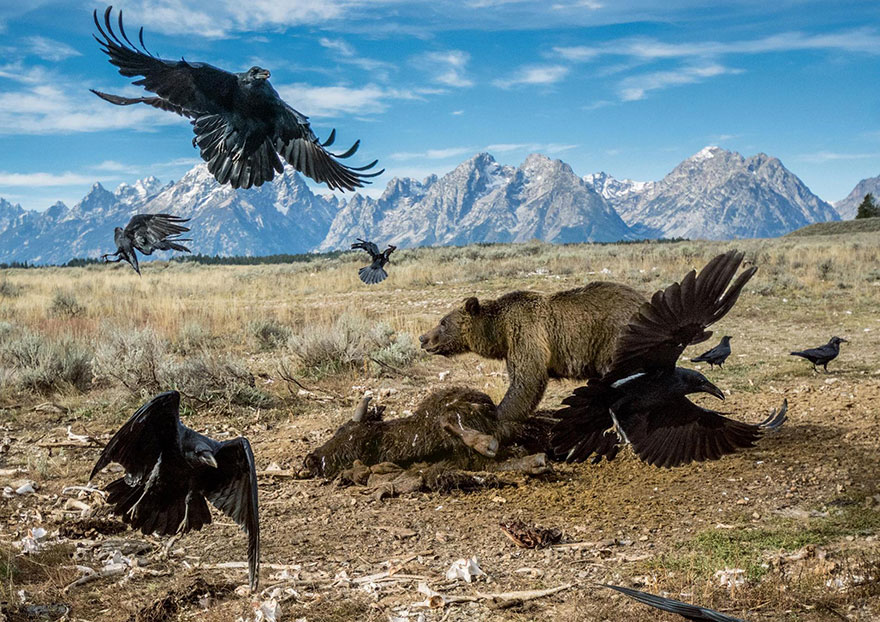 48 Of The Best Images Of The Year Announced By National Geographic