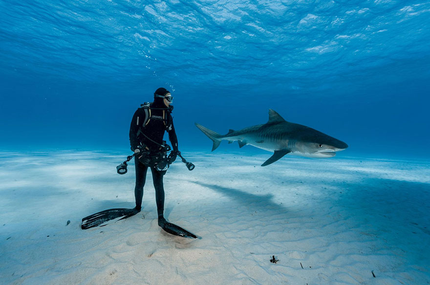 48 Of The Best Images Of The Year Announced By National Geographic