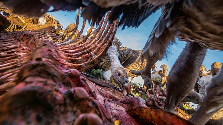 48 Of The Best Images Of The Year Announced By National Geographic