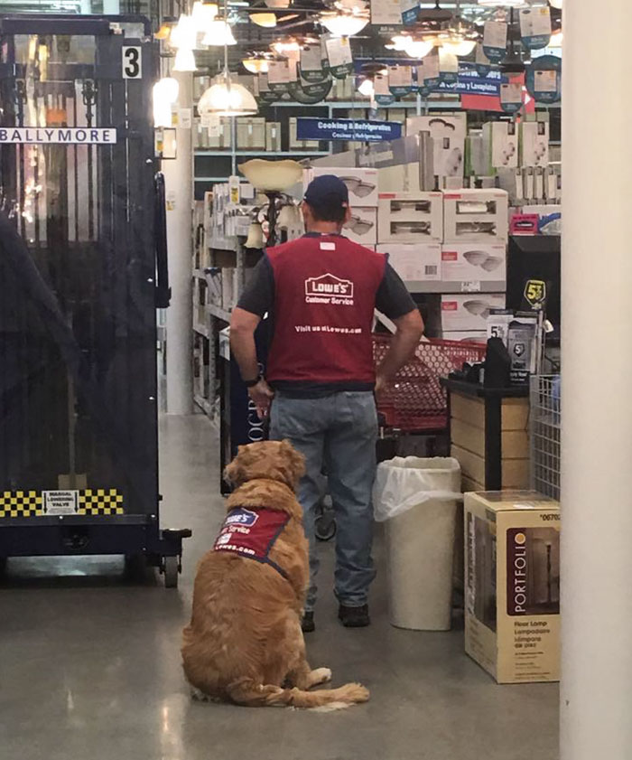 A Veteran Who Needs A Service Dog Was Struggling To Find A Job, Until This Store Employed Them Both A Veteran Who Needs A Service Dog Was Struggling To Find A Job, Until This Store Employed Them Both