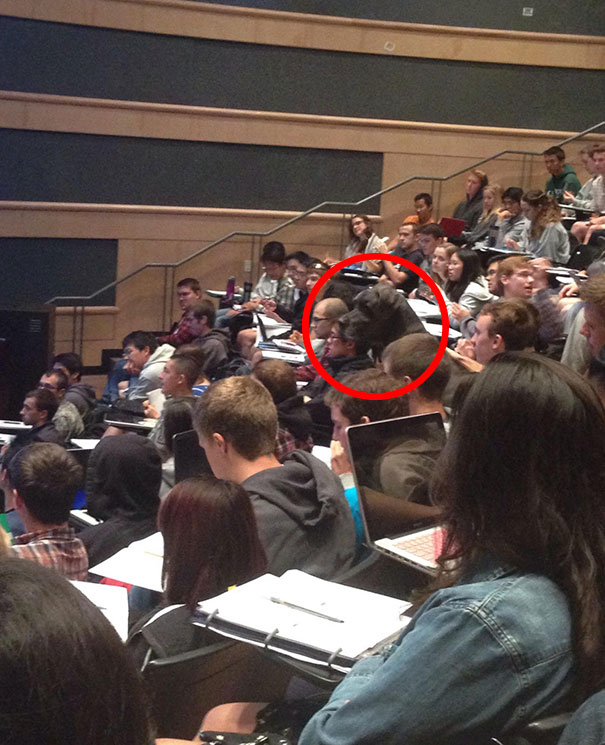 81 Pics That’ll Freak You Out WHEN YOU SEE IT 81 Pics That’ll Freak You Out WHEN YOU SEE IT