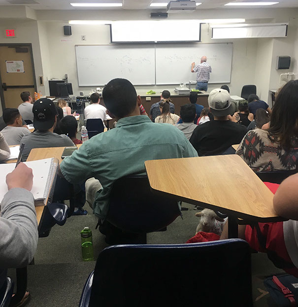 81 Pics That’ll Freak You Out WHEN YOU SEE IT 81 Pics That’ll Freak You Out WHEN YOU SEE IT