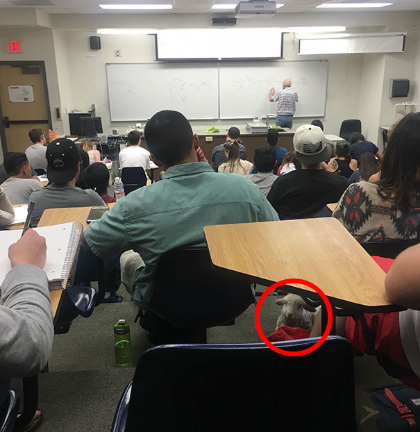 81 Pics That’ll Freak You Out WHEN YOU SEE IT 81 Pics That’ll Freak You Out WHEN YOU SEE IT