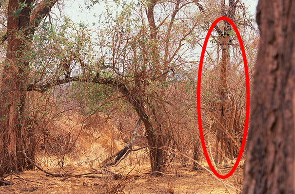 81 Pics That’ll Freak You Out WHEN YOU SEE IT 81 Pics That’ll Freak You Out WHEN YOU SEE IT