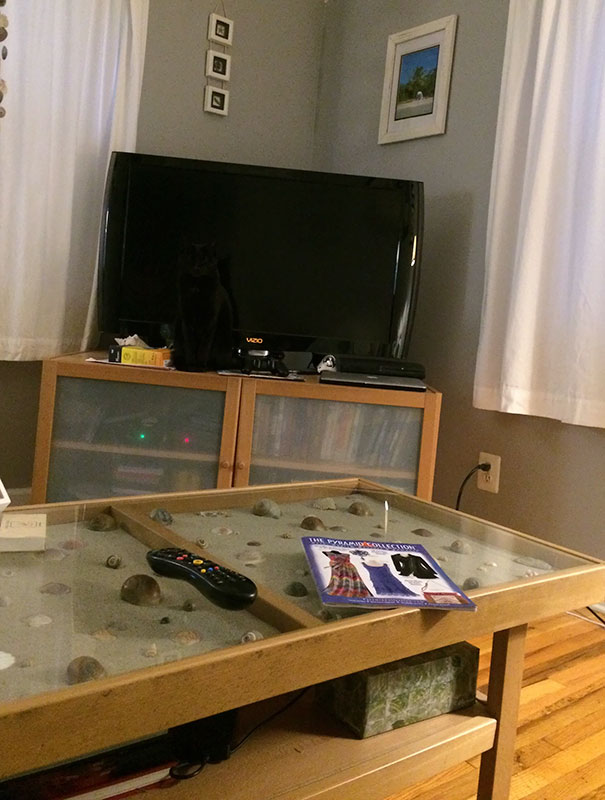 81 Pics That’ll Freak You Out WHEN YOU SEE IT 81 Pics That’ll Freak You Out WHEN YOU SEE IT