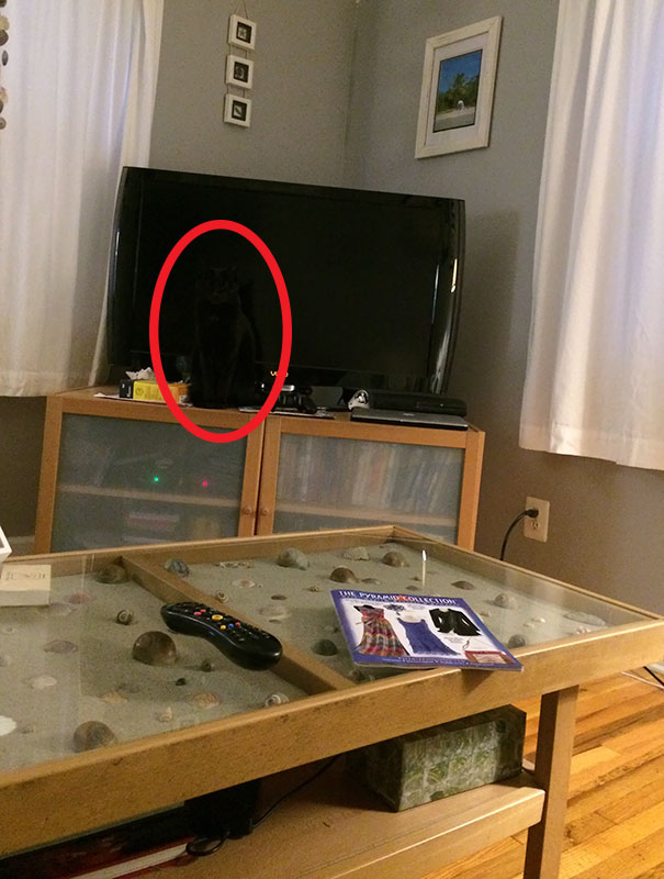 81 Pics That’ll Freak You Out WHEN YOU SEE IT 81 Pics That’ll Freak You Out WHEN YOU SEE IT