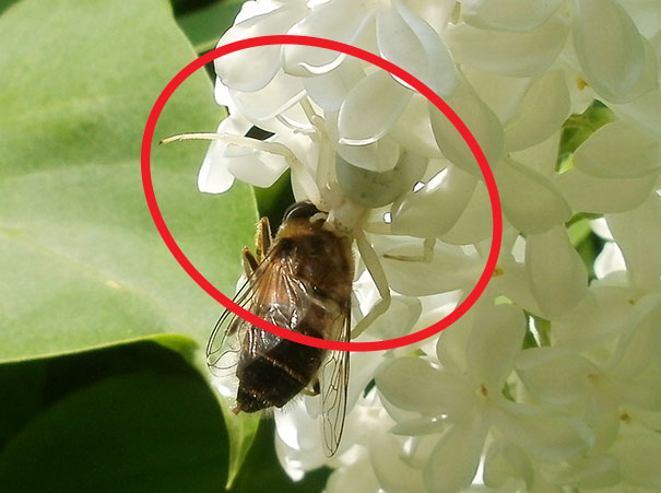 81 Pics That’ll Freak You Out WHEN YOU SEE IT 81 Pics That’ll Freak You Out WHEN YOU SEE IT