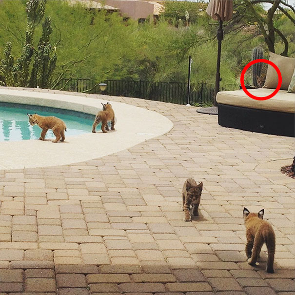 81 Pics That’ll Freak You Out WHEN YOU SEE IT 81 Pics That’ll Freak You Out WHEN YOU SEE IT