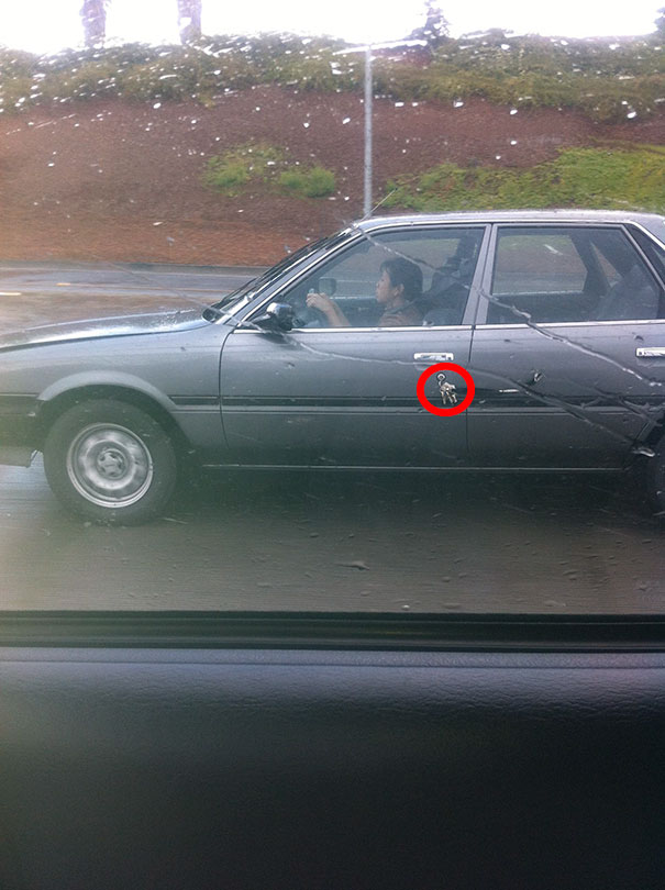 81 Pics That’ll Freak You Out WHEN YOU SEE IT 81 Pics That’ll Freak You Out WHEN YOU SEE IT