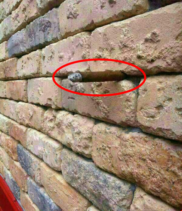 81 Pics That’ll Freak You Out WHEN YOU SEE IT 81 Pics That’ll Freak You Out WHEN YOU SEE IT