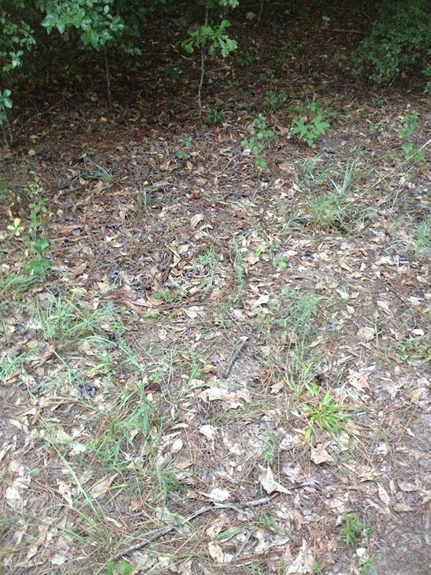 81 Pics That’ll Freak You Out WHEN YOU SEE IT 81 Pics That’ll Freak You Out WHEN YOU SEE IT