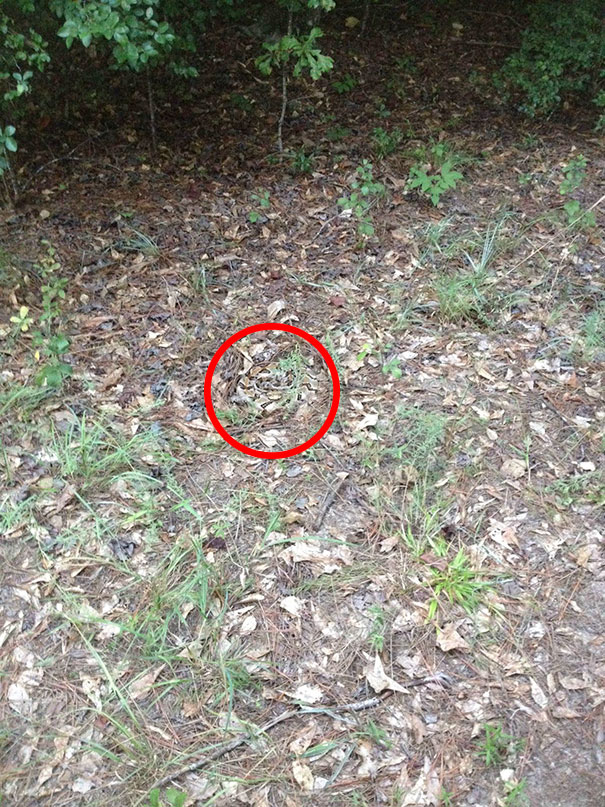 81 Pics That’ll Freak You Out WHEN YOU SEE IT 81 Pics That’ll Freak You Out WHEN YOU SEE IT