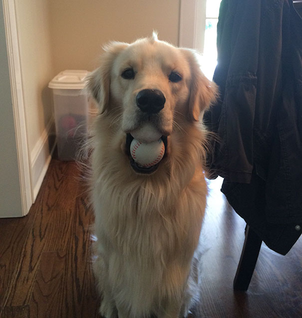 81 Pics That’ll Freak You Out WHEN YOU SEE IT 81 Pics That’ll Freak You Out WHEN YOU SEE IT