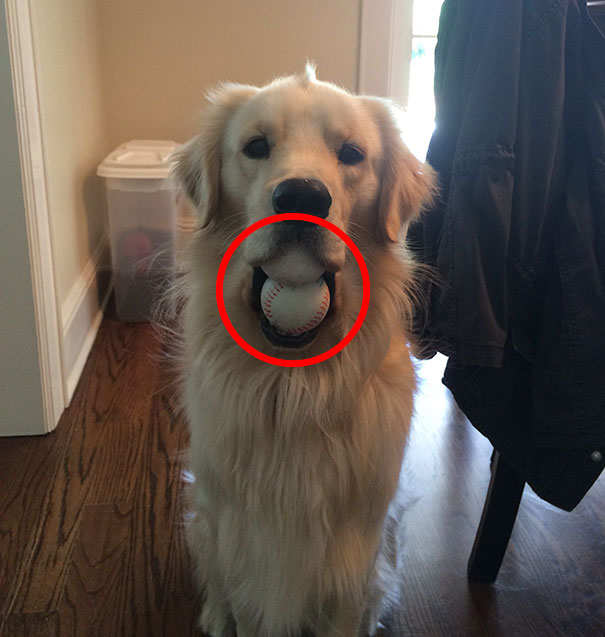 81 Pics That’ll Freak You Out WHEN YOU SEE IT 81 Pics That’ll Freak You Out WHEN YOU SEE IT