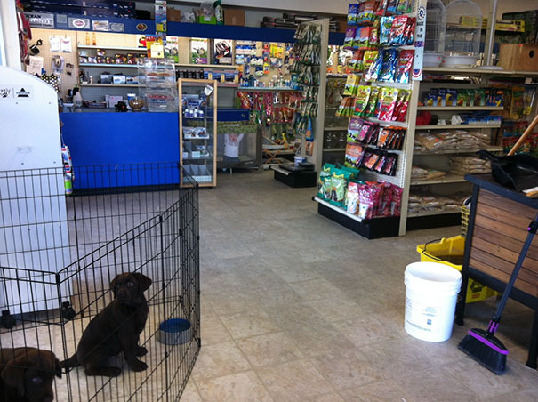 81 Pics That’ll Freak You Out WHEN YOU SEE IT 81 Pics That’ll Freak You Out WHEN YOU SEE IT