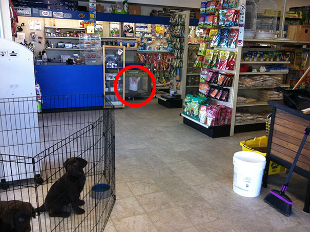 81 Pics That’ll Freak You Out WHEN YOU SEE IT 81 Pics That’ll Freak You Out WHEN YOU SEE IT