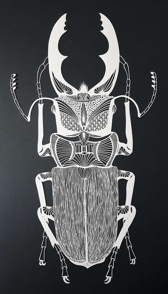 I Hand-Cut Intricate Paper Artwork Inspired By Nature And Architecture I Hand-Cut Intricate Paper Artwork Inspired By Nature And Architecture