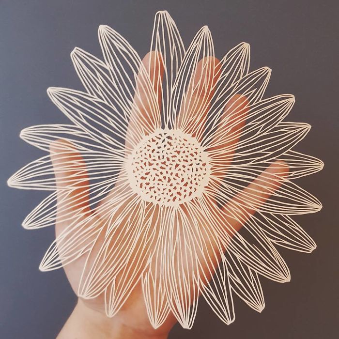 I Hand-Cut Intricate Paper Artwork Inspired By Nature And Architecture I Hand-Cut Intricate Paper Artwork Inspired By Nature And Architecture