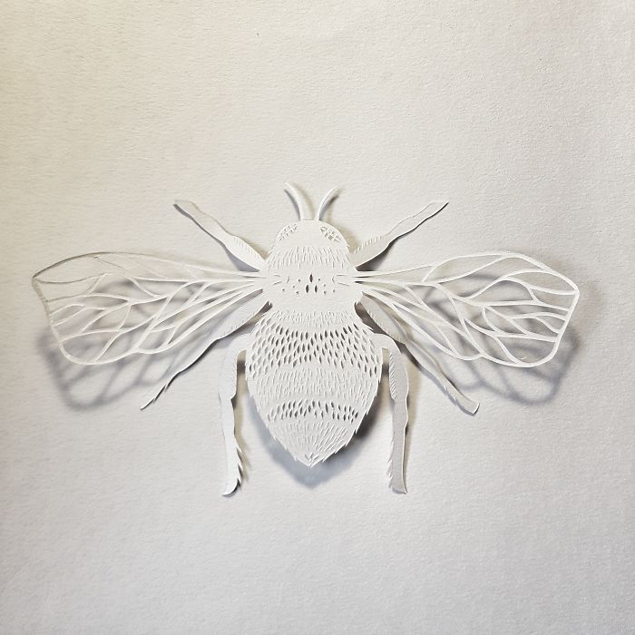 I Hand-Cut Intricate Paper Artwork Inspired By Nature And Architecture I Hand-Cut Intricate Paper Artwork Inspired By Nature And Architecture