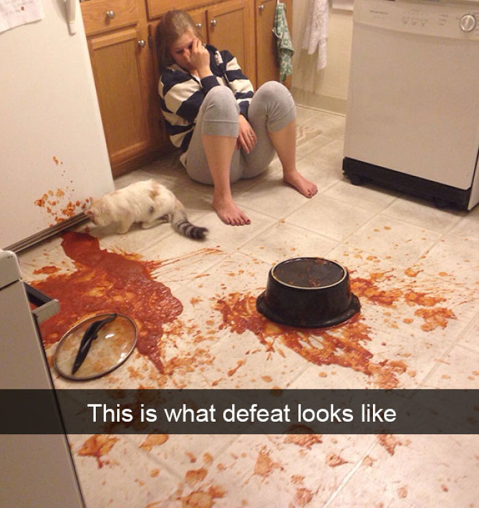 100 Snapchat Fails Of People Having A Worse Day Than You 100 Snapchat Fails Of People Having A Worse Day Than You