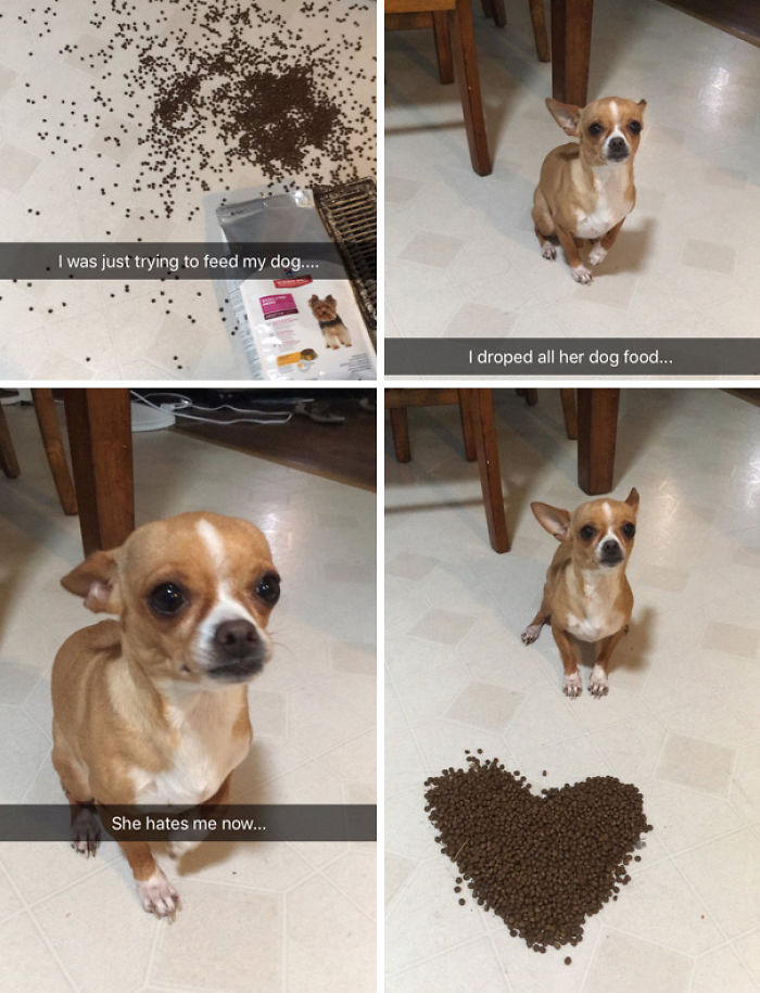 100 Snapchat Fails Of People Having A Worse Day Than You 100 Snapchat Fails Of People Having A Worse Day Than You