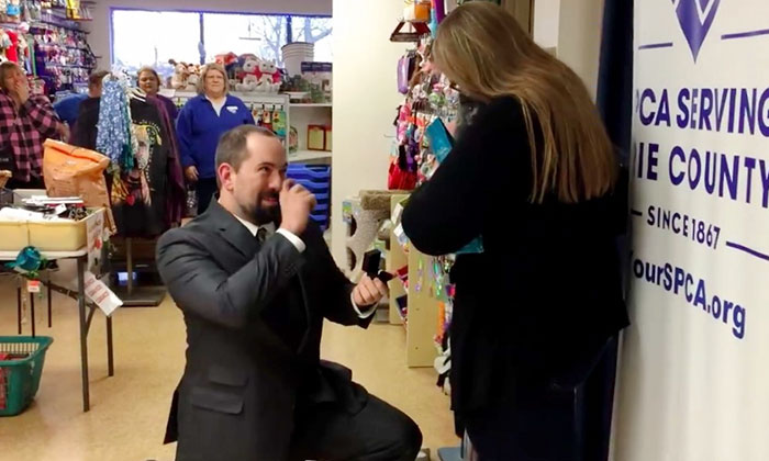 This Man Proposed To His Girlfriend With A Rescue Kitty, And It Can’t Get Any Cuter This Man Proposed To His Girlfriend With A Rescue Kitty, And It Can’t Get Any Cuter