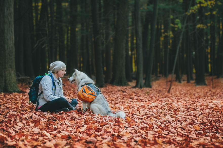 My Beautiful Huskies Helped Me Overcome Clinical Depression And Get On My Feet Again My Beautiful Huskies Helped Me Overcome Clinical Depression And Get On My Feet Again