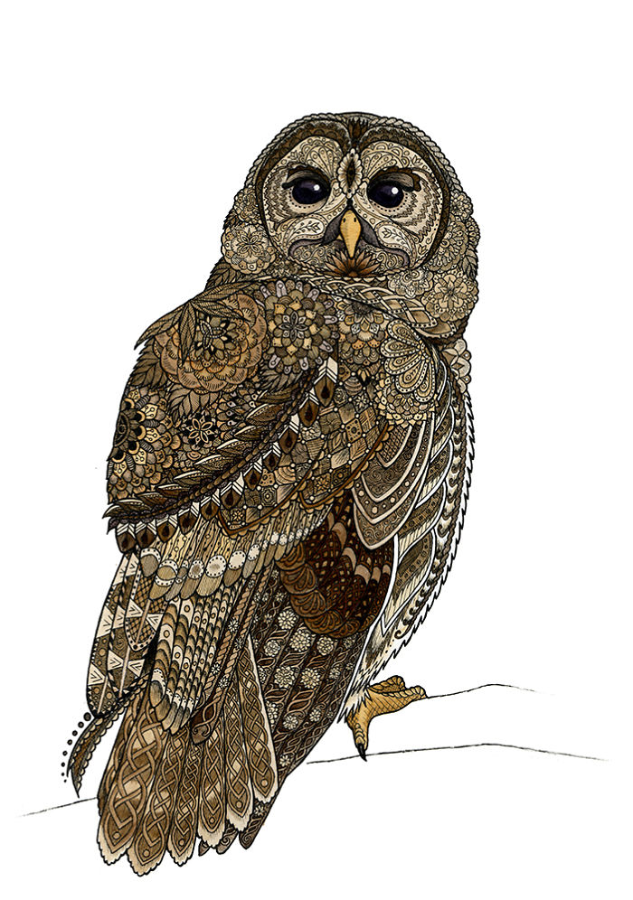 I Draw Intricately Patterned Animals I Draw Intricately Patterned Animals