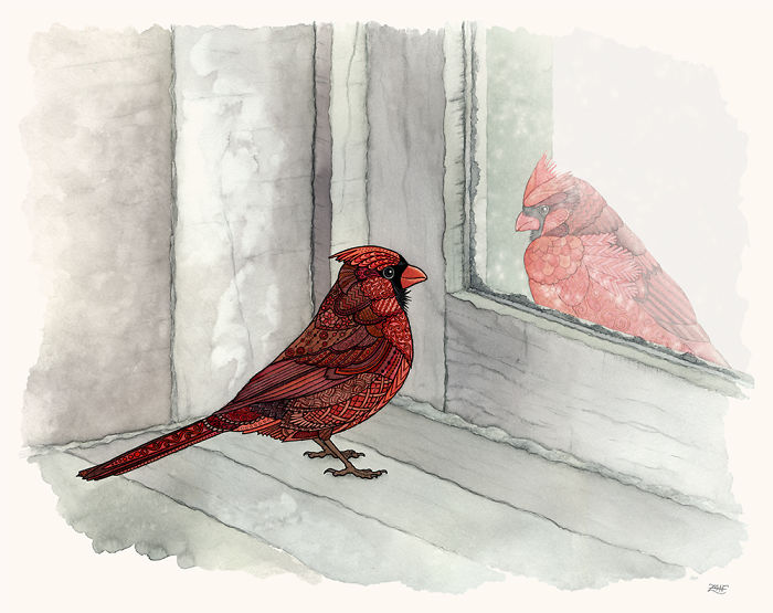 I Draw Intricately Patterned Animals I Draw Intricately Patterned Animals