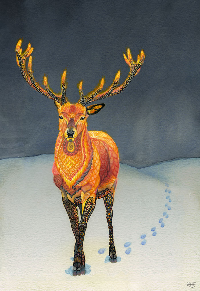 I Draw Intricately Patterned Animals I Draw Intricately Patterned Animals