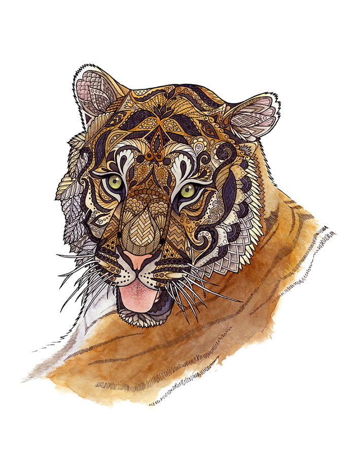 I Draw Intricately Patterned Animals I Draw Intricately Patterned Animals