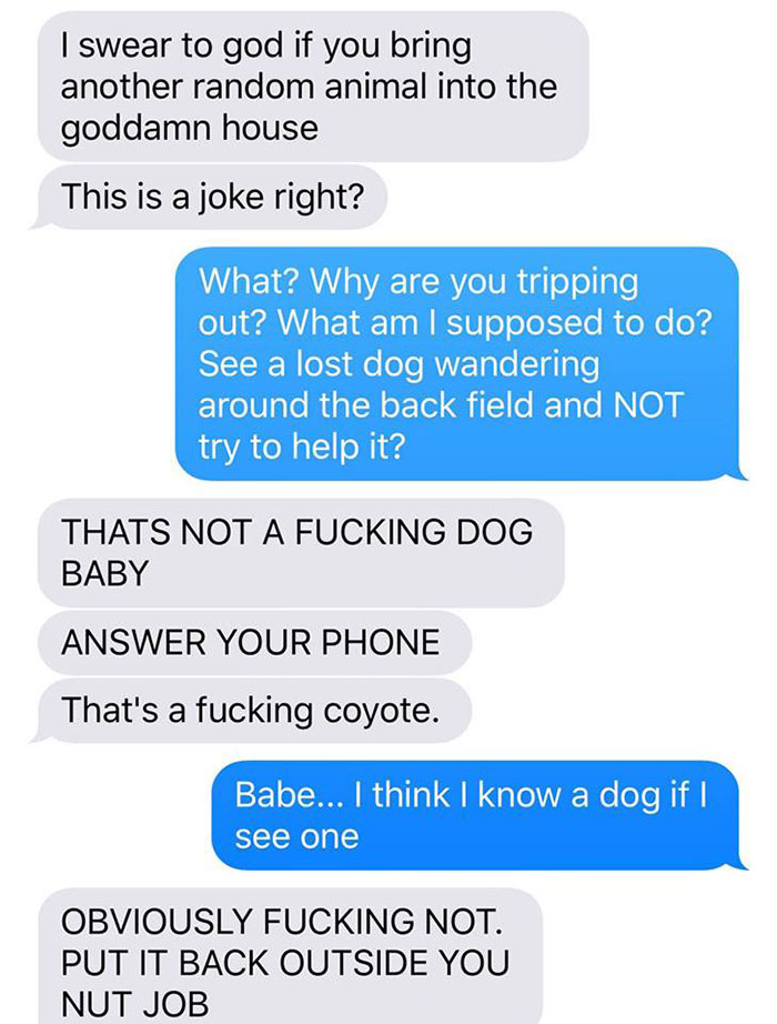 Wife Texts Husband She Brought A Dog Home While The Pic Shows A Coyote, And He Seriously Freaks Out