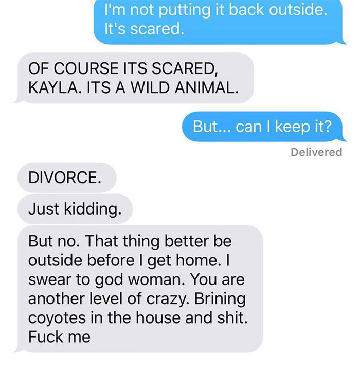 Wife Texts Husband She Brought A Dog Home While The Pic Shows A Coyote, And He Seriously Freaks Out