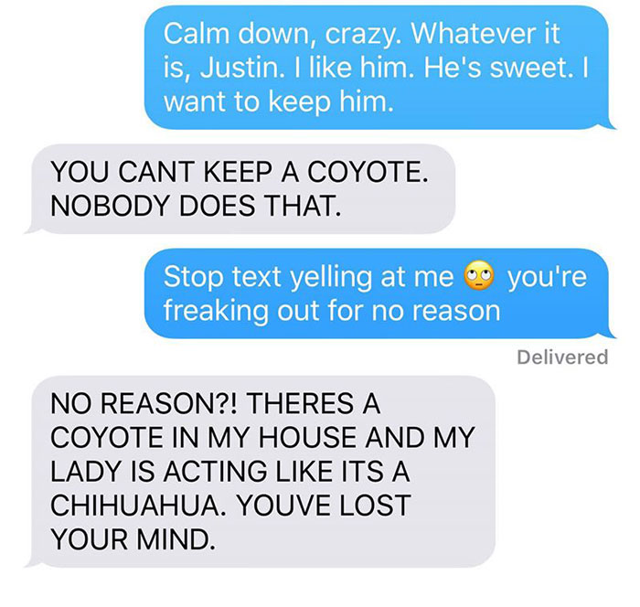 Wife Texts Husband She Brought A Dog Home While The Pic Shows A Coyote, And He Seriously Freaks Out