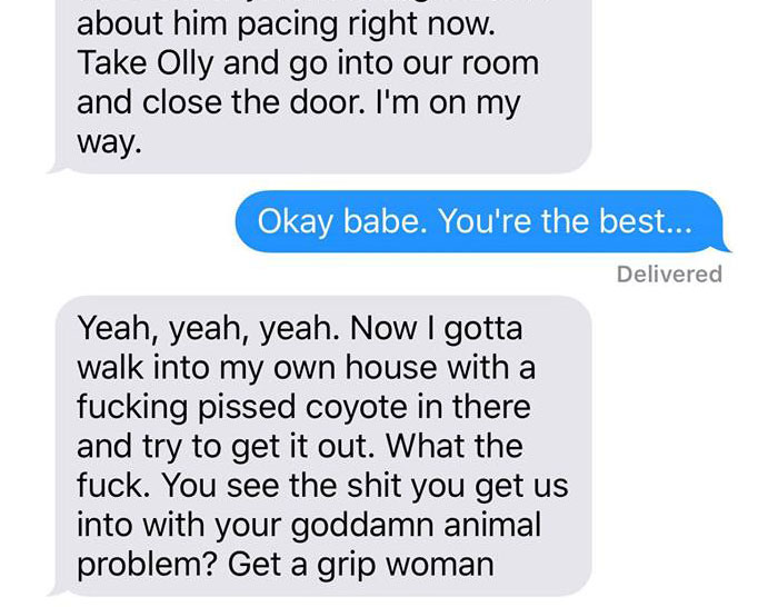 Wife Texts Husband She Brought A Dog Home While The Pic Shows A Coyote, And He Seriously Freaks Out