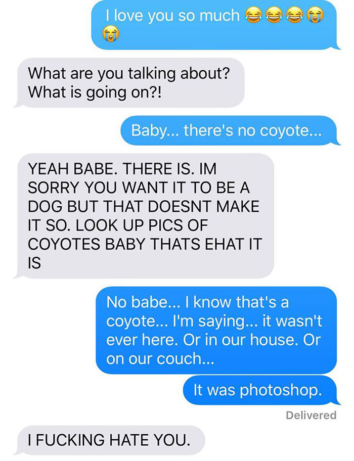 Wife Texts Husband She Brought A Dog Home While The Pic Shows A Coyote, And He Seriously Freaks Out