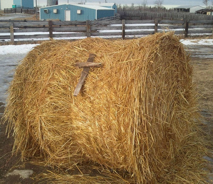 How Many Of These Puns Can You Guess Without Looking At The Answers? How Many Of These Puns Can You Guess Without Looking At The Answers?