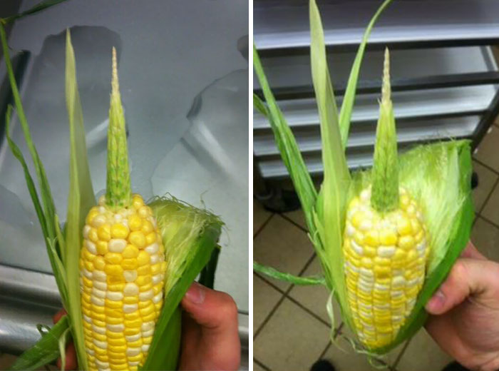 How Many Of These Puns Can You Guess Without Looking At The Answers? How Many Of These Puns Can You Guess Without Looking At The Answers?