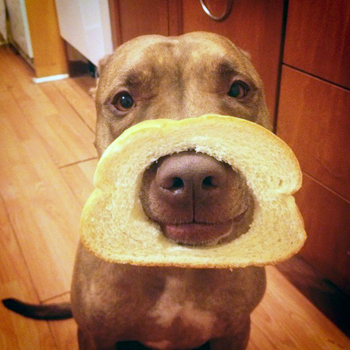 How Many Of These Puns Can You Guess Without Looking At The Answers? How Many Of These Puns Can You Guess Without Looking At The Answers?