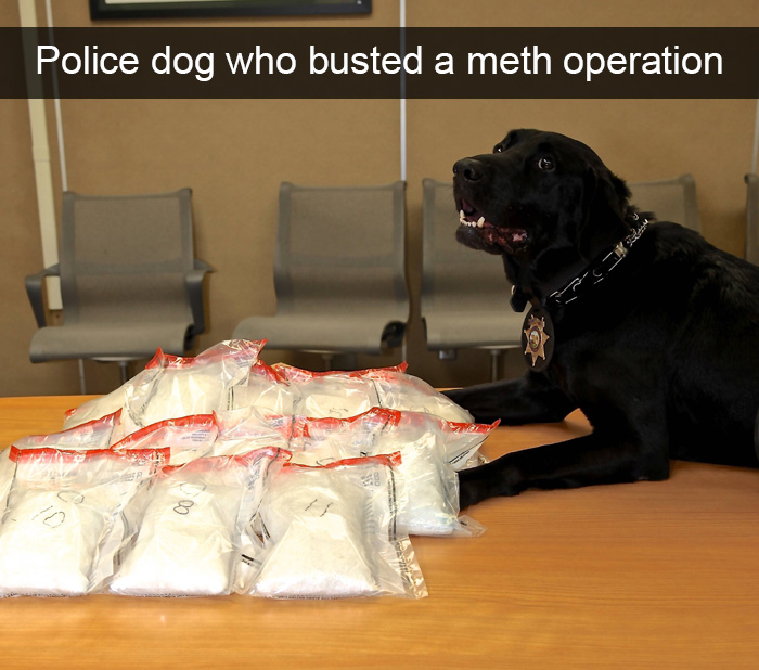 How Many Of These Puns Can You Guess Without Looking At The Answers? How Many Of These Puns Can You Guess Without Looking At The Answers?