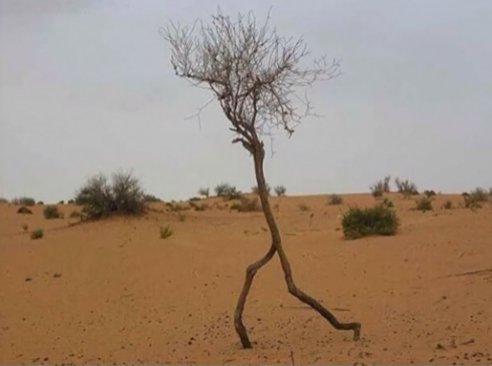 How Many Of These Puns Can You Guess Without Looking At The Answers? How Many Of These Puns Can You Guess Without Looking At The Answers?