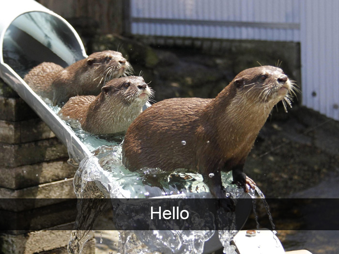 How Many Of These Puns Can You Guess Without Looking At The Answers? How Many Of These Puns Can You Guess Without Looking At The Answers?