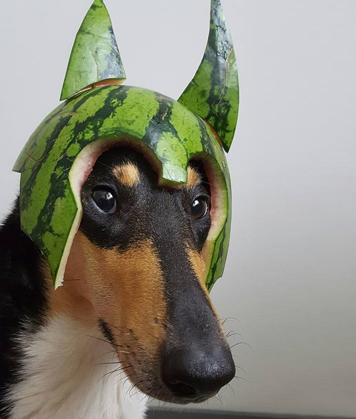 How Many Of These Puns Can You Guess Without Looking At The Answers? How Many Of These Puns Can You Guess Without Looking At The Answers?