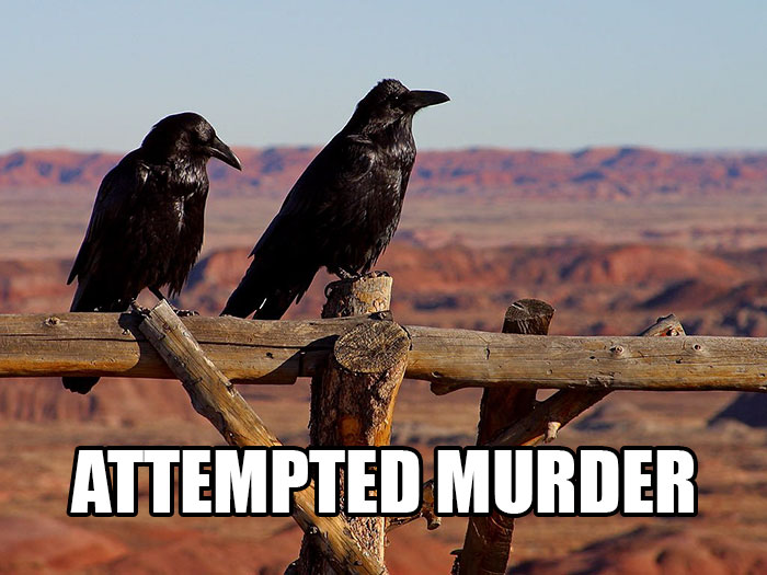 How Many Of These Puns Can You Guess Without Looking At The Answers? How Many Of These Puns Can You Guess Without Looking At The Answers?