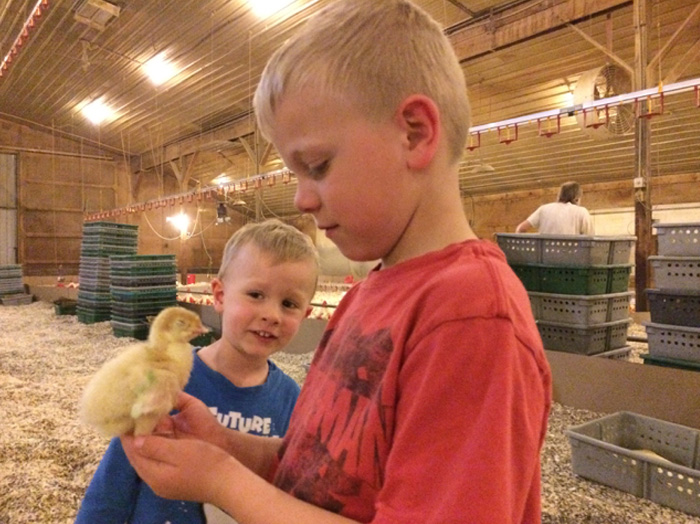 How Many Of These Puns Can You Guess Without Looking At The Answers? How Many Of These Puns Can You Guess Without Looking At The Answers?