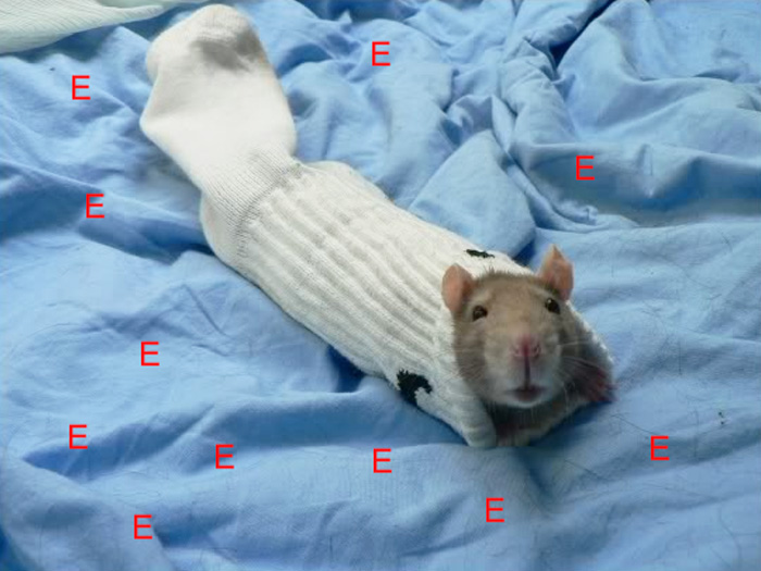 How Many Of These Puns Can You Guess Without Looking At The Answers? How Many Of These Puns Can You Guess Without Looking At The Answers?