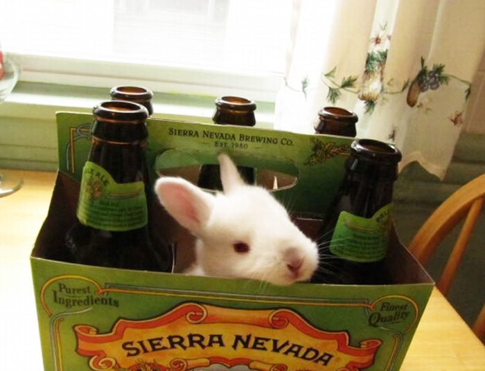 How Many Of These Puns Can You Guess Without Looking At The Answers? How Many Of These Puns Can You Guess Without Looking At The Answers?